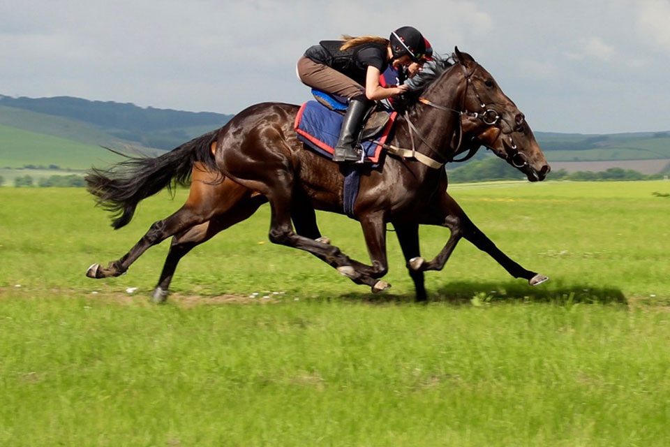 Lambourn Gallops Lambourn Gallops