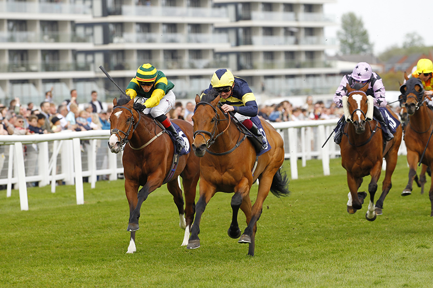 Sweet Reward and Rob Hornby win the Dubai Duty Free Millionaire